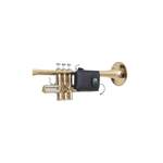 BG Wireless Transmitter Case Trumpet Product Image