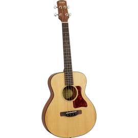 Adam Black O-2 E Travel Bass with Bag