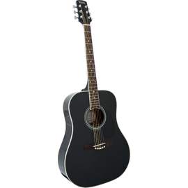 Adam Black Acoustic Guitar S-2 Trans Black