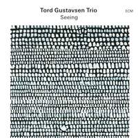 Tord Gustavsen Trio: Seeing