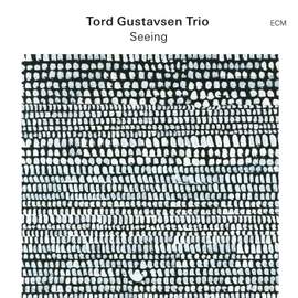 Tord Gustavsen Trio: Seeing