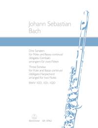 J.S. Bach: Three Sonatas, WV 1033, 1031, 1020