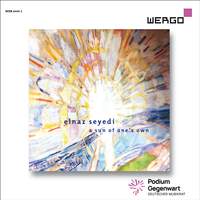 Elnaz Seyedi: A Sun of One's Own
