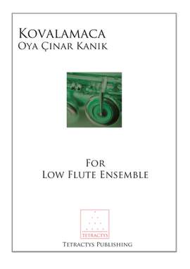 Cinar Kanik: Kovalamaca (Chase)