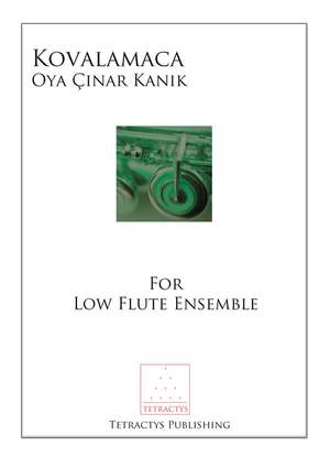 Cinar Kanik: Kovalamaca (Chase)