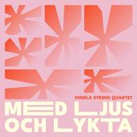 Med Ljus och Lykta
