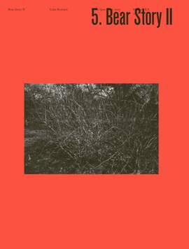 Luke Howard: Bear Story II