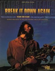 Tears For Fears: Break It Down Again