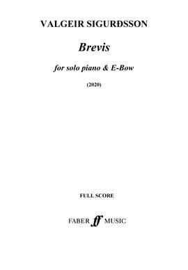 Valgeir Sigurðsson: Brevis