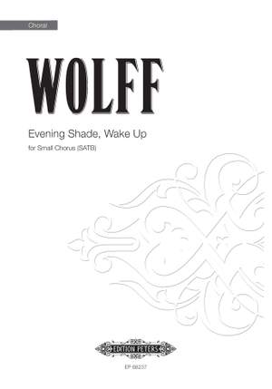 Christian Wolff: Evening Shade, Wake Up