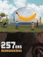 257ers: Holz