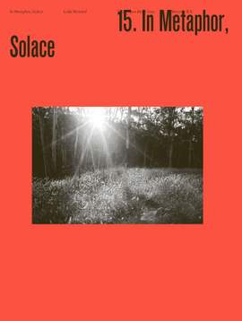 Luke Howard: In Metaphor, Solace