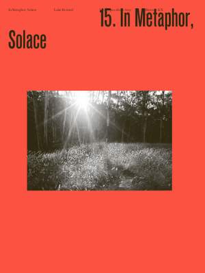 Luke Howard: In Metaphor, Solace