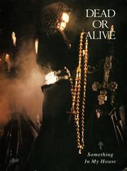 Dead Or Alive: Something In My House