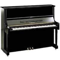 Norman Greenbaum: Spirit In The Sky