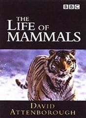 Dan Jones: The Life Of Mammals (Theme from the BBC TV Series)