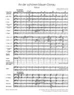 Strauss: An der schönen blauen Donau op. 314 Product Image