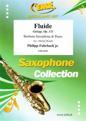 Philipp Fahrbach Jr.: Fluide