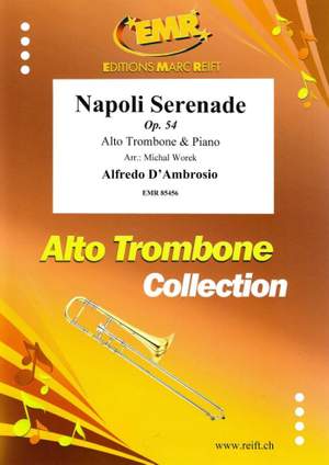 Alfredo D'Ambrosio: Napoli Serenade