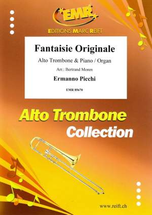 Ermanno Picchi: Fantaisie Originale