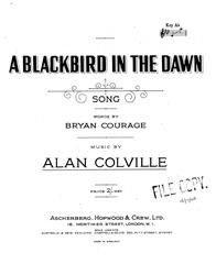 Alan Colville: A Blackbird In The Dawn
