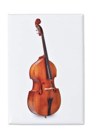 Magnet Double-bass