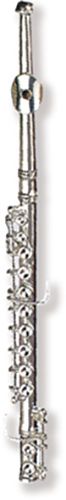 Flute magnetic