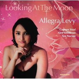 Looking At the Moon
