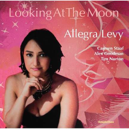 Looking At the Moon