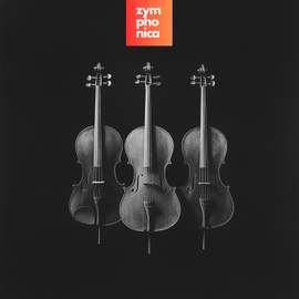 String Quartet Hits Vol.1