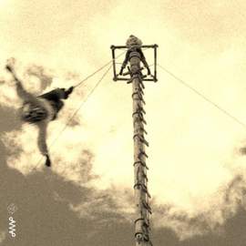 Seekers in the Sky