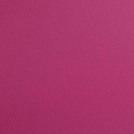 BAM L'Étoile Hightech Adjustable Bassoon Case Raspberry Red