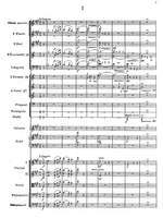 Miaskovsky, Nikolai: Sinfonietta in A major, Op. 10 Product Image