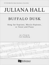 Juliana Hall: Buffalo Dusk