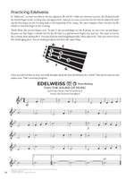 Do-It-Yourself Violin Product Image