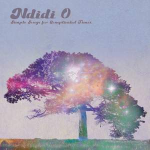 Simple Songs For Complicated Times