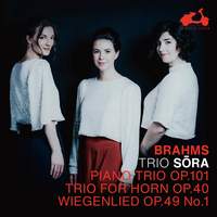 Brahms: Piano Trio Op. 101, Trio for Horn Op. 40, Wiegenlied & Op. 49 No. 1
