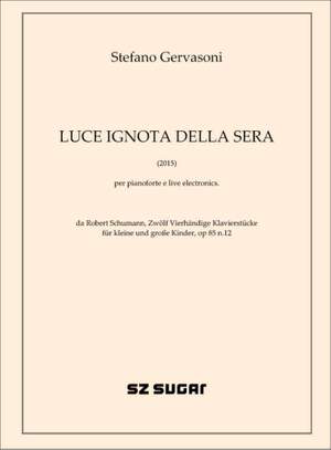 Stefano Gervasoni: Luce ignota della sera (2015)