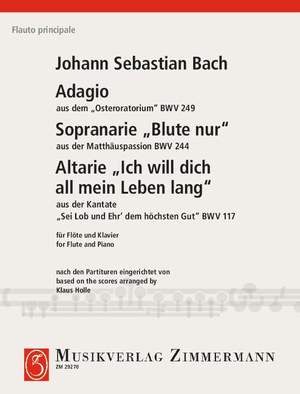 Bach, Johann Sebastian: Adagio from the Easter Oratorio BWV 249