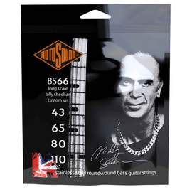 Swing Bass 66 Billy Sheehan Custom