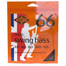 Swing Bass 66 5-String Hybrid