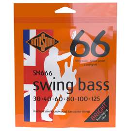 Swing Bass 66 6-String Hybrid