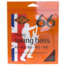 Swing Bass 66 5-String Extra Long Scale