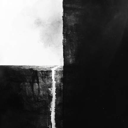 Roots