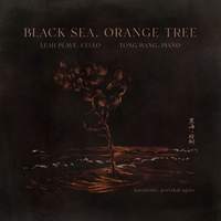 Black sea, orange tree