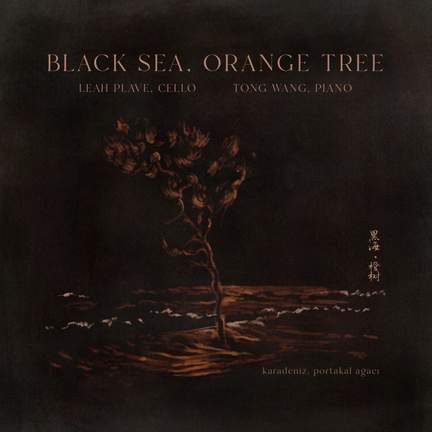 Black sea, orange tree