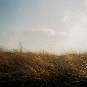 Waltz 21