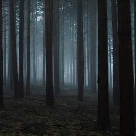A Quiet Place