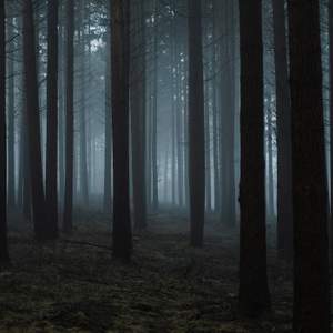 A Quiet Place