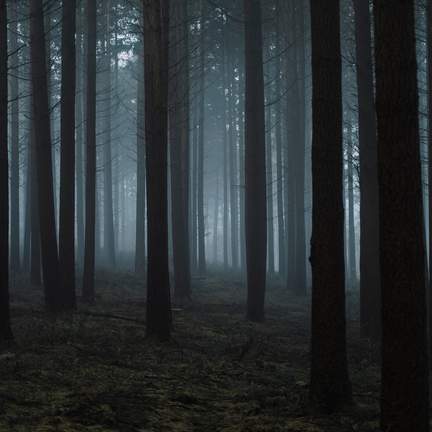 A Quiet Place
